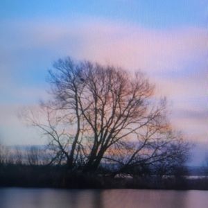 Meet your Posher, Brock